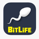 BitLife MOD APK-一款模拟人生的安卓游戏